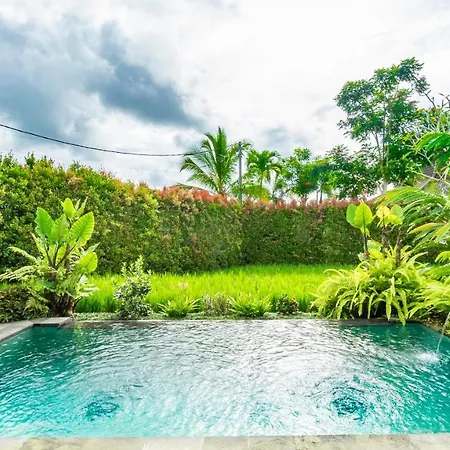 Uma Kakul Villas Tegallalang  Exterior photo